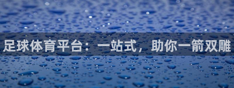 足球体育平台：一站式，助你一箭双雕