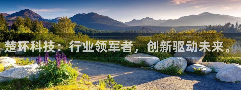 楚环科技：行业领军者，创新驱动未来。