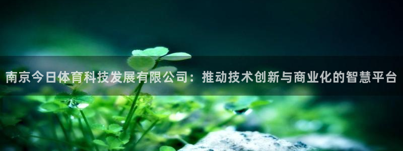 南京今日体育科技发展有限公司：推动技术创新与商业化的智慧平台
