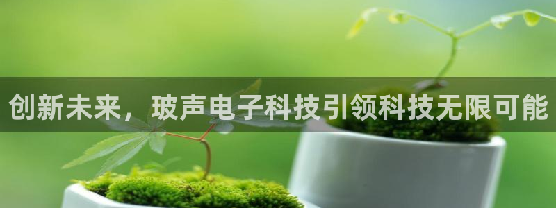 创新未来，玻声电子科技引领科技无限可能