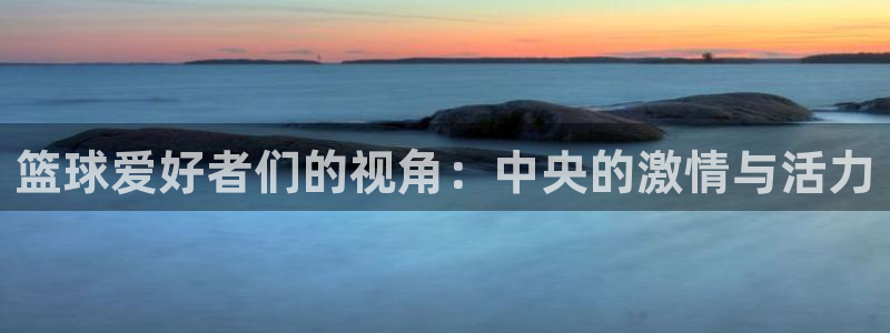 篮球爱好者们的视角：中央的激情与活力