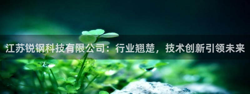 江苏锐钢科技有限公司：行业翘楚，技术创新引领未来