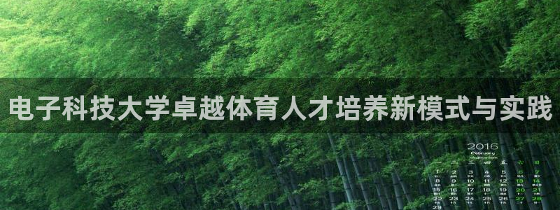 电子科技大学卓越体育人才培养新模式与实践