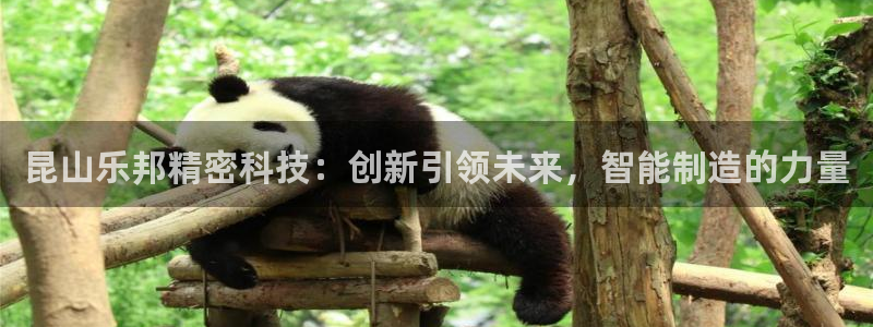 昆山乐邦精密科技：创新引领未来，智能制造的力量