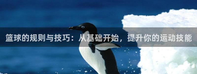 篮球的规则与技巧：从基础开始，提升你的运动技能