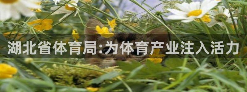 湖北省体育局:为体育产业注入活力